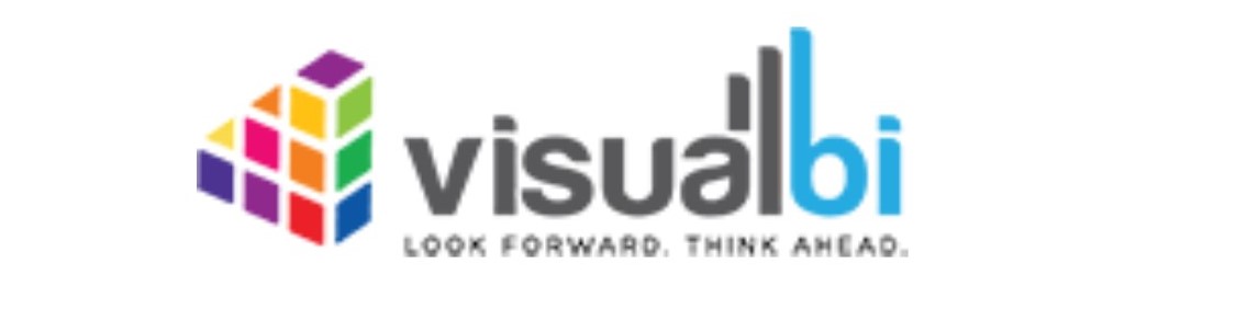 Visual BI Solutions Inc.